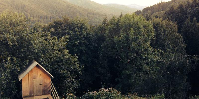 中国网站设计新趋势：提升可访问性（ADA合规）打造卓越用户体验