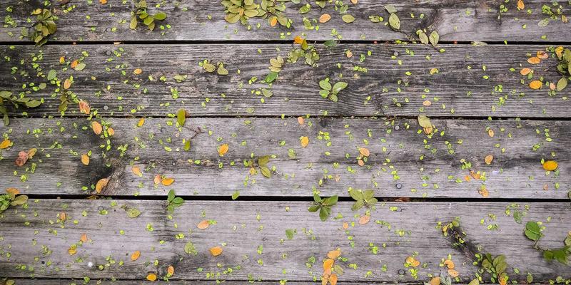 全球化品牌的多语言网站设计：融合文化适配、UI设计与拟物化美学的技术实践