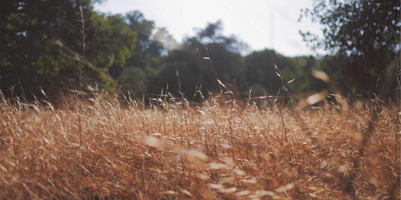 分栏布局与视觉设计：如何通过设计优化网站加载速度与用户体验