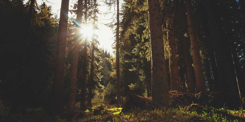 分栏布局:提升网站视觉设计与用户体验的核心策略