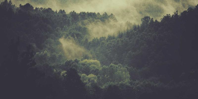 卡片式布局如何提升中国网站设计的用户体验？优势、场景与案例解析