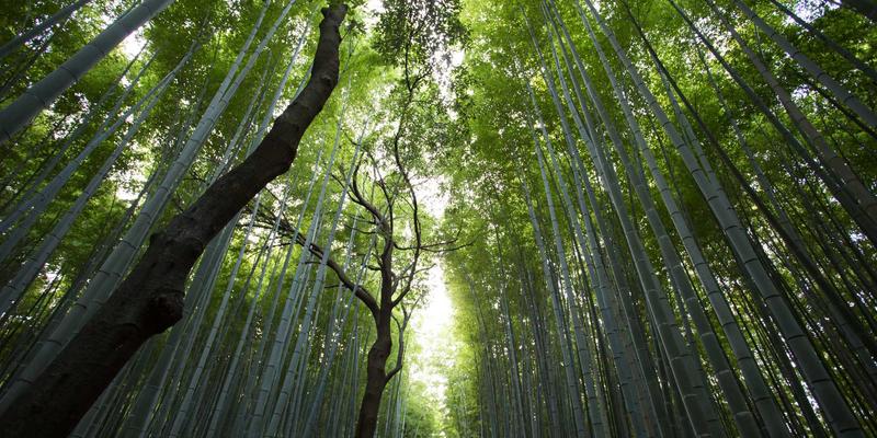 拟物化设计在中国网站设计中的复兴与创新