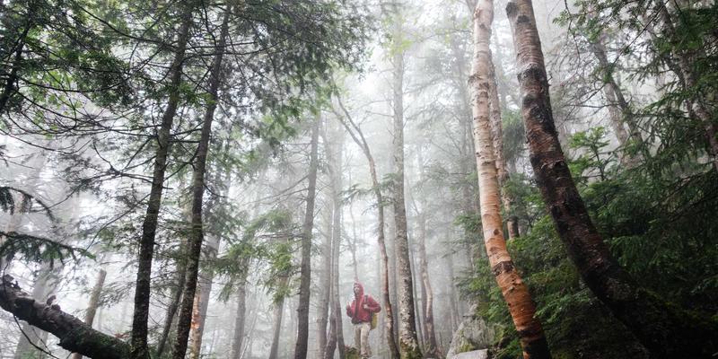 用户体验革新：解析中国UI设计中3D与AR元素如何打造沉浸式产品展示