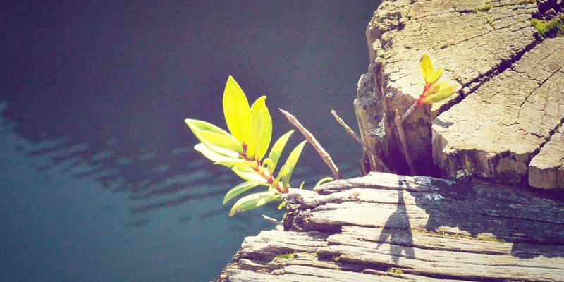 网站设计48：融合中国设计智慧的UI/UX创新之道