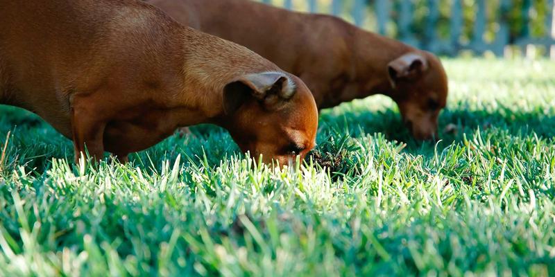 网站设计中的中国视觉设计:融合传统美学与现代数字体验