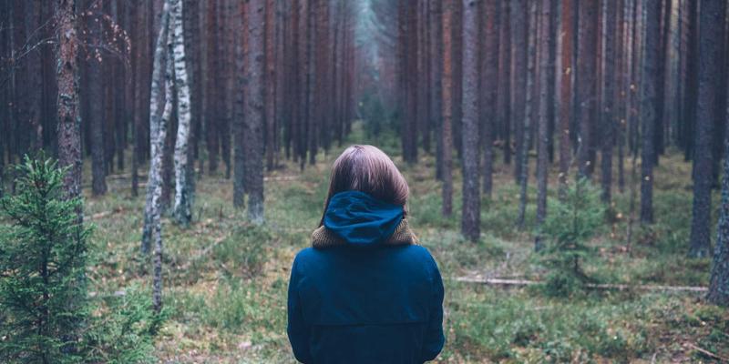 网站设计中的拟物化复兴：UI设计如何平衡视觉美学与功能体验