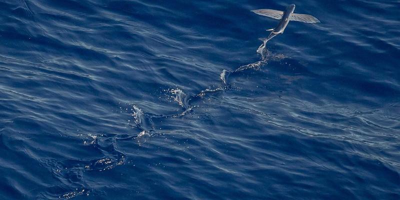 网站设计中的留白艺术：如何通过空间布局提升用户体验与品牌调性