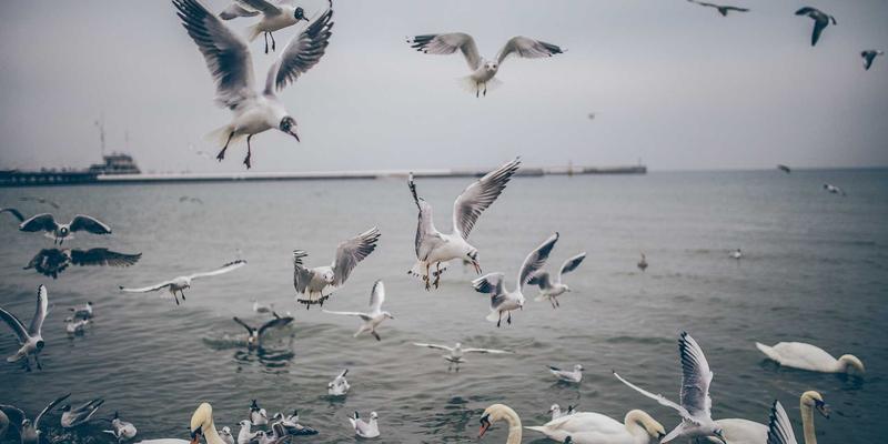 网站设计中的色彩心理学：如何通过拟物化设计与配色方案塑造用户体验