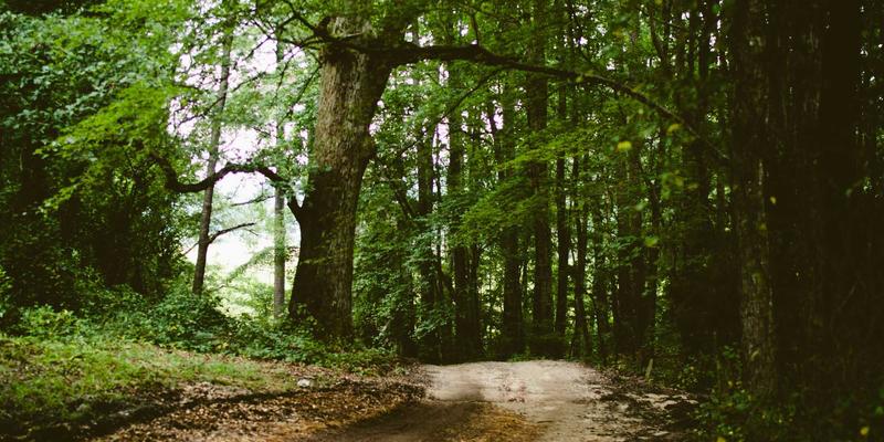 网站设计新浪潮:拟物化复兴与未来UI视觉设计趋势深度解析