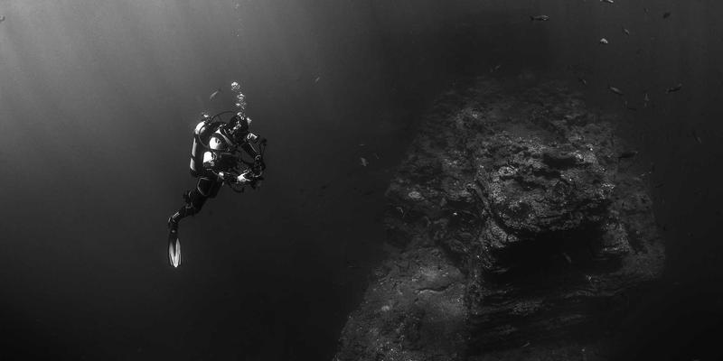 网站设计风格演变：从拟物到新拟态，探索分栏布局的视觉未来