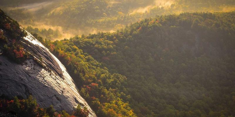 视觉设计与用户体验双引擎：如何通过优化网站设计大幅减少加载时间并提升用户留存率