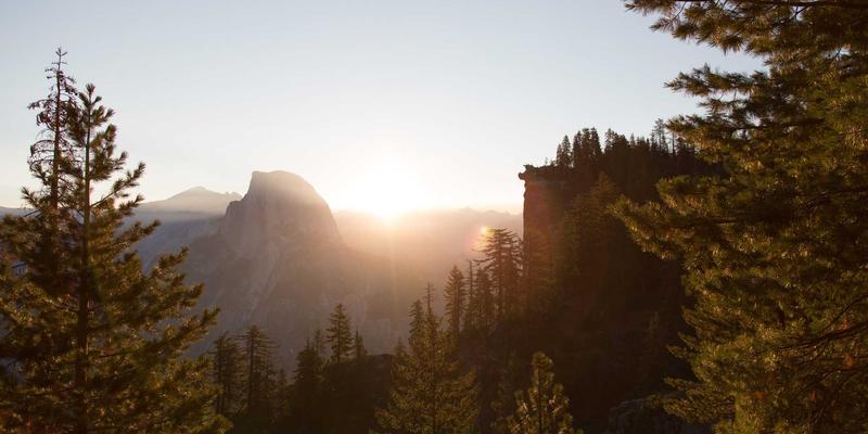 跨越文化鸿沟：视觉设计、拟物化与分栏布局如何塑造全球适配的多语言界面